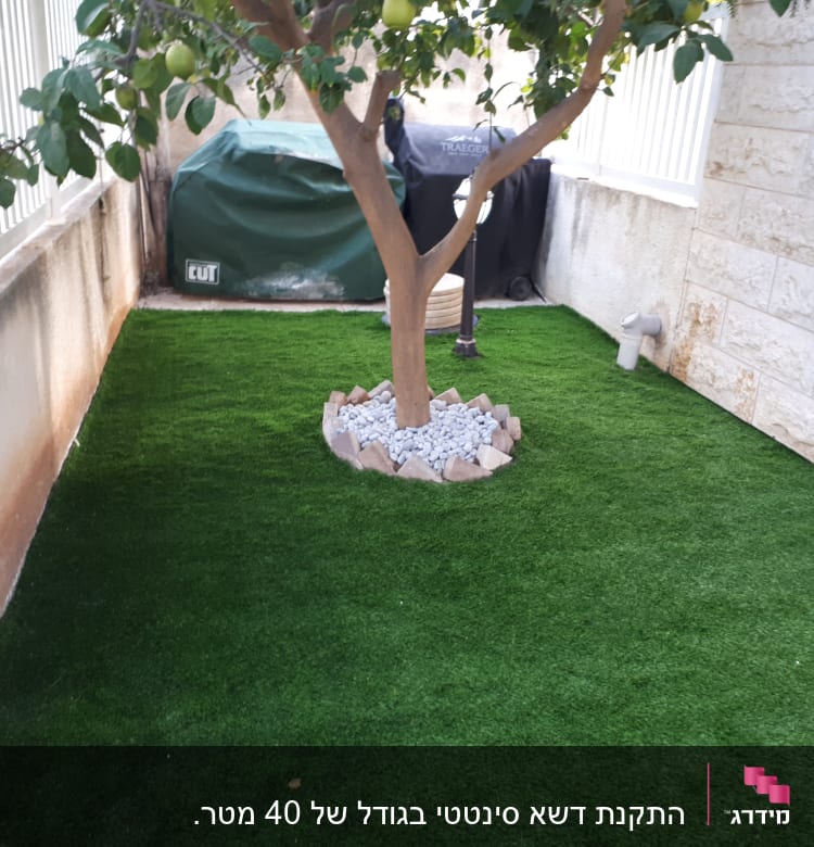 עץ עם פירות על דשא מלאכותי מוקף באבנים